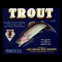 Jason Trout - Fish Decoy & Ice Saw Maker