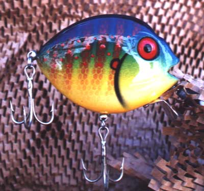 dmsunny.jpg (24794 bytes)